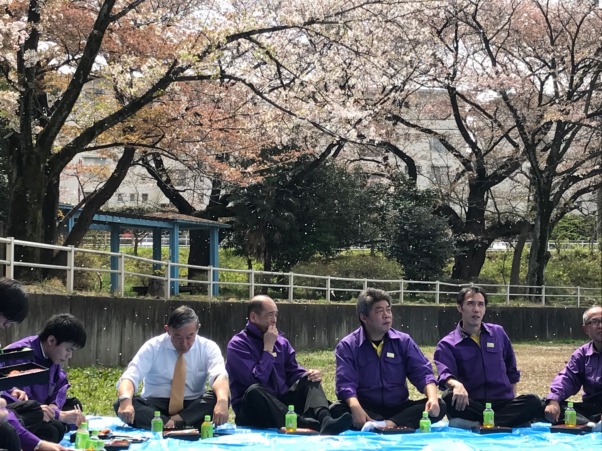 春のお楽しみ